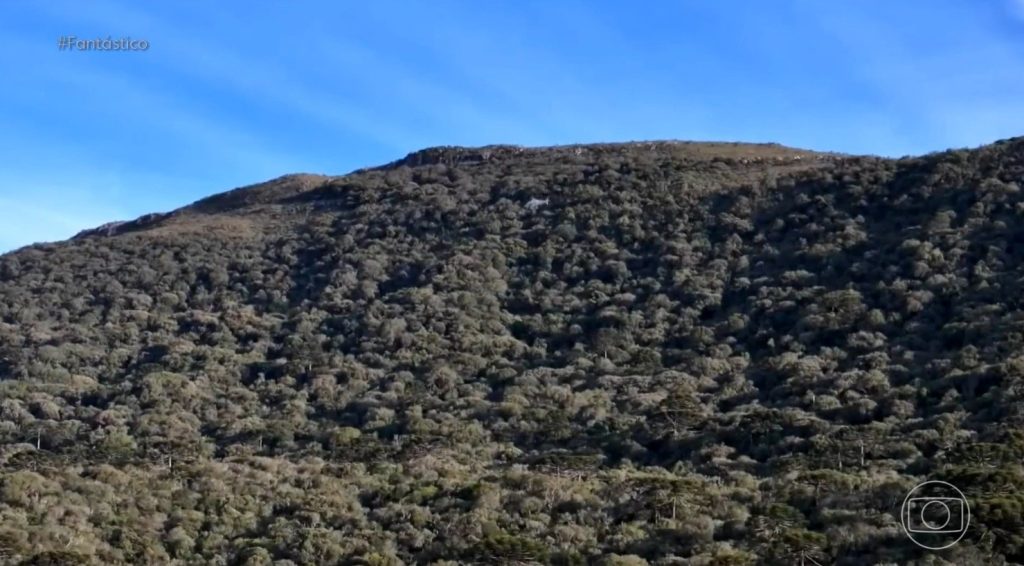Fantástico refaz trajeto até local onde caiu helicóptero em que estava cantor Rick